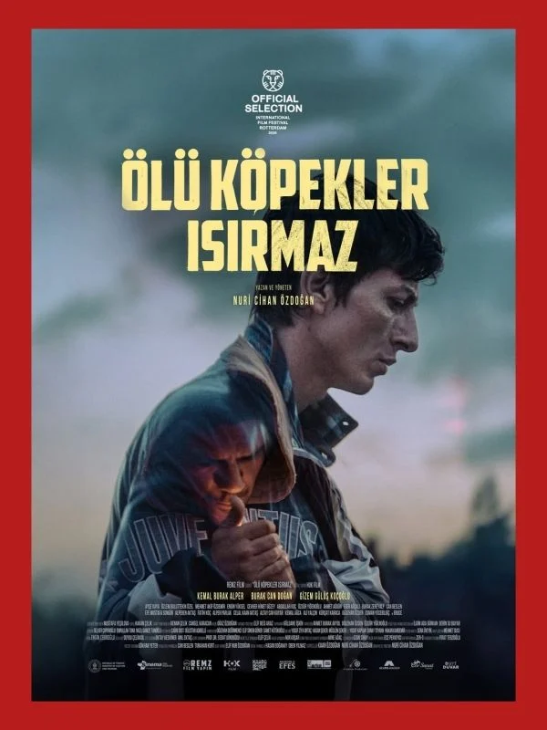 ölü köpekler ısırmaz